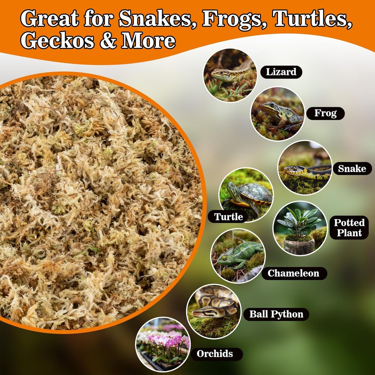 Sphagnum Moss for Reptiles - 3.5 OZ Reptile Peat Moss for Terrarium Bedding Reptiles Substrate for Reptile Tank, Snake, Leopard Gecko, Ball Python, Crested Gecko, Turtle, Frog, Hamster