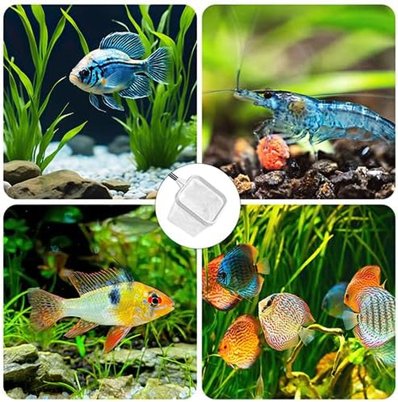 2-Pack White 3-Inch Aquarium Net – Small Fish Tank Tool for Shrimp & Bettas, Fast-Dry Mesh Scoop (Dual-Purpose Cleaner & Decor) by