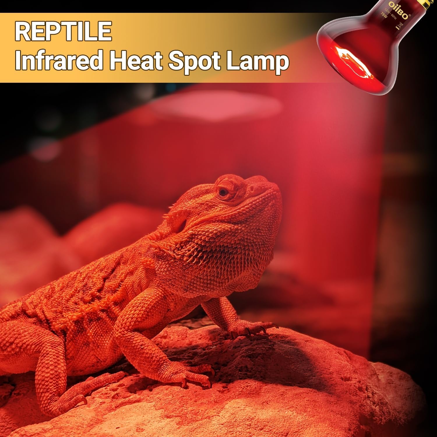 Reptile Heat Lamp Blub, 2Pack 75W Day & Night Reptile Heat Lamp,Uva Daylight Heat Basking Bulbs Infrared Heats Light Bulb for Reptiles Bearded Dragon Lizard Turtle
