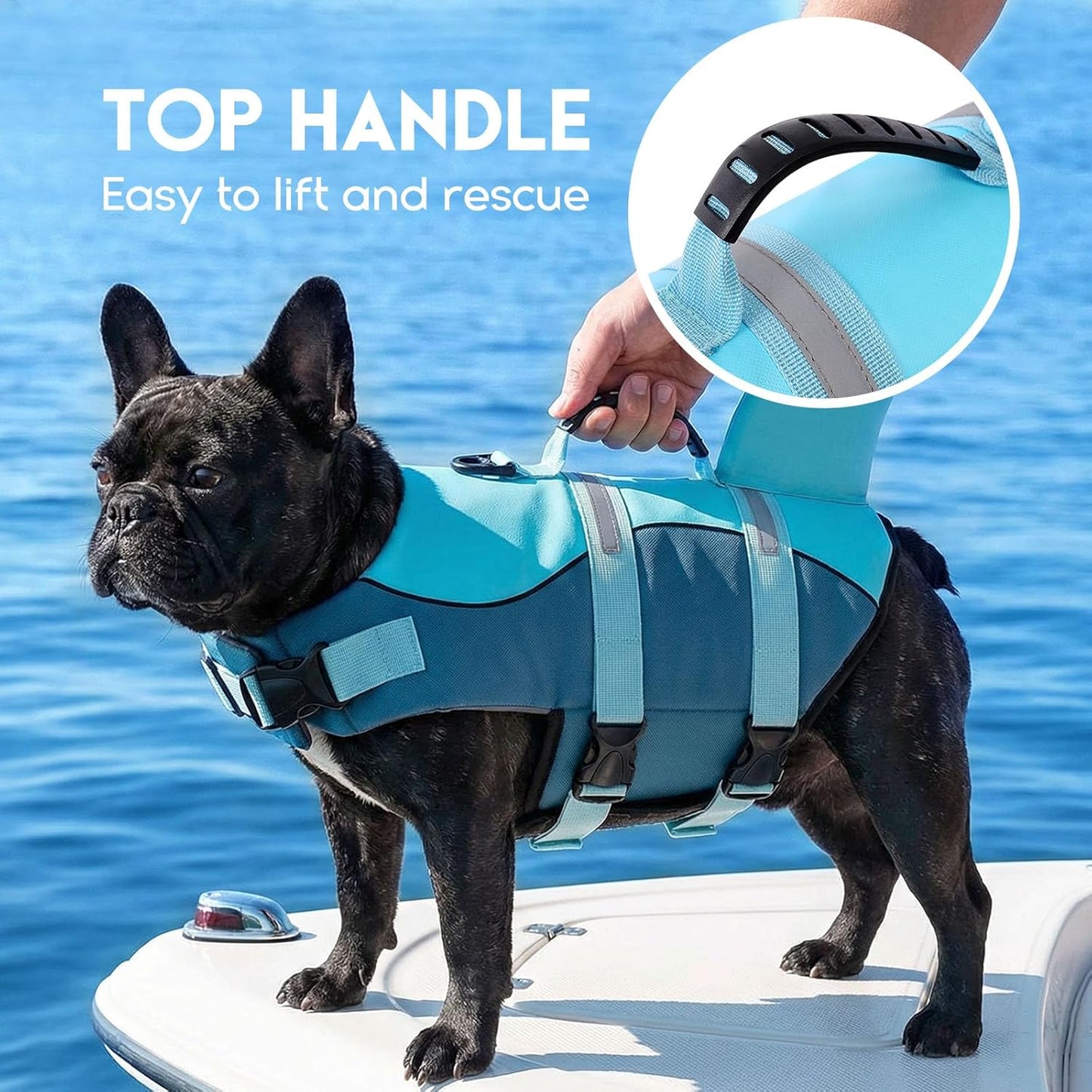 Dog Life Jacket - Pet Safety Vest for Swimming & Boating, Shark Life Jacket with Floatation, Dog Lifesavers Swimsuits for Small Medium Large Dogs (Deepblue, XL)