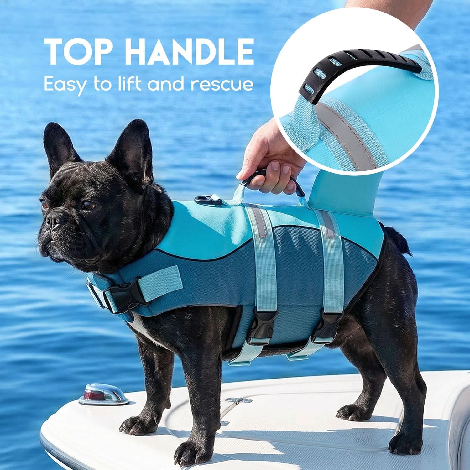Dog Life Jacket - Pet Safety Vest for Swimming & Boating, Shark Life Jacket with Floatation, Dog Lifesavers Swimsuits for Small Medium Large Dogs (Deepblue, XL)
