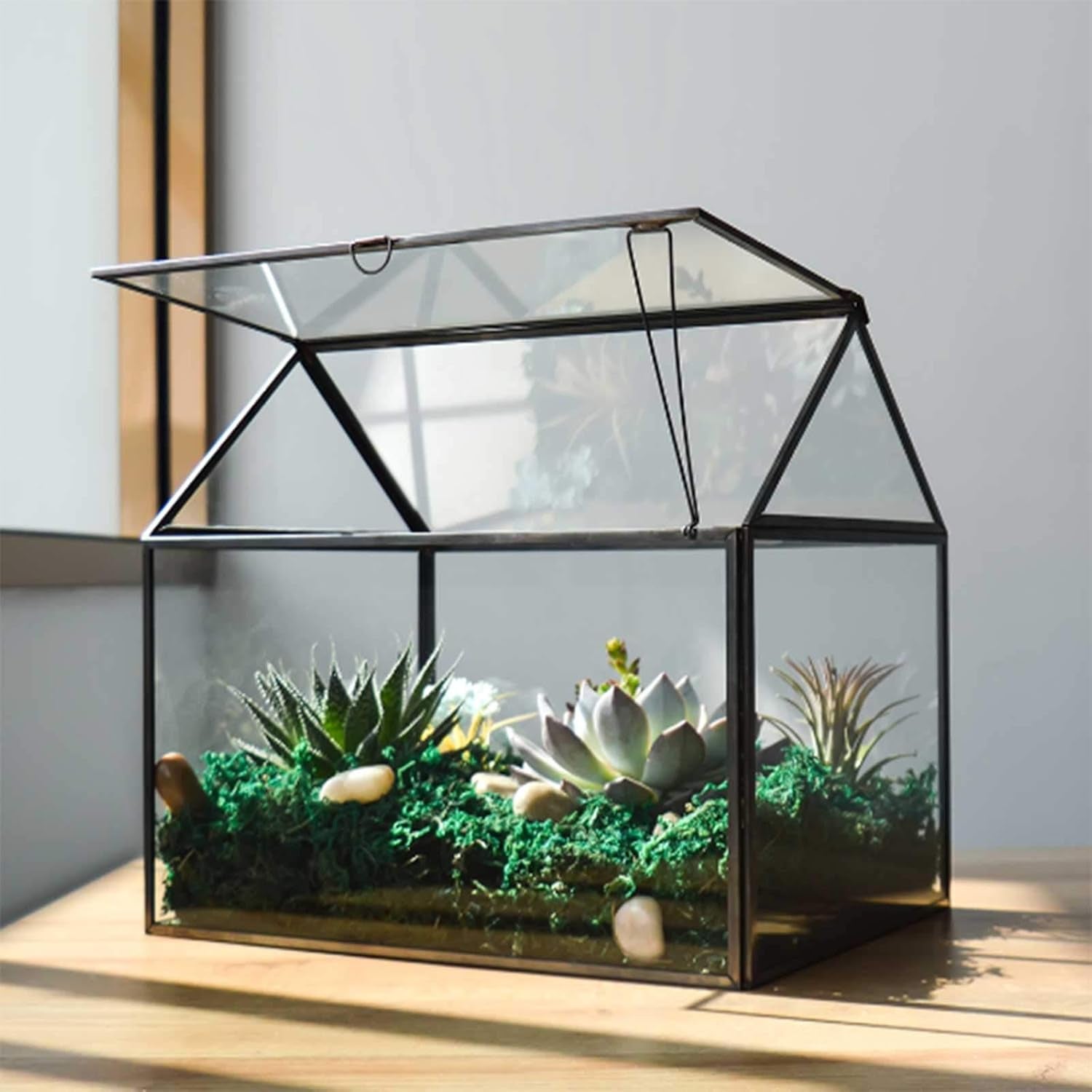 Large Glass Plant Terrarium – House Succulent Glass Terrarium Kit with Lip Glass Greenhouse Terrarium for Plant 12.26X9.15X10.9Inch (Black 2)