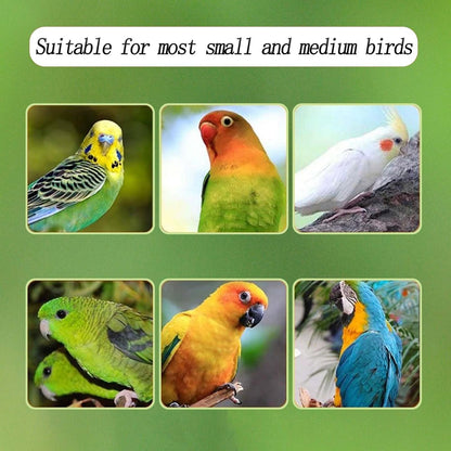 Automatic Acrylic Bird Feeder for Cage, No Mess - Small Bird Parrots, Canary, Parakeet, Budgerigar, Crested Myna, Cockatiel (XL)