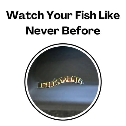 Multifunctional Aquarium Underground Tunnel Cave under Gravel Tunnel Curve Aquarium Decoration Tunnel Caves Fish Tank Decoration