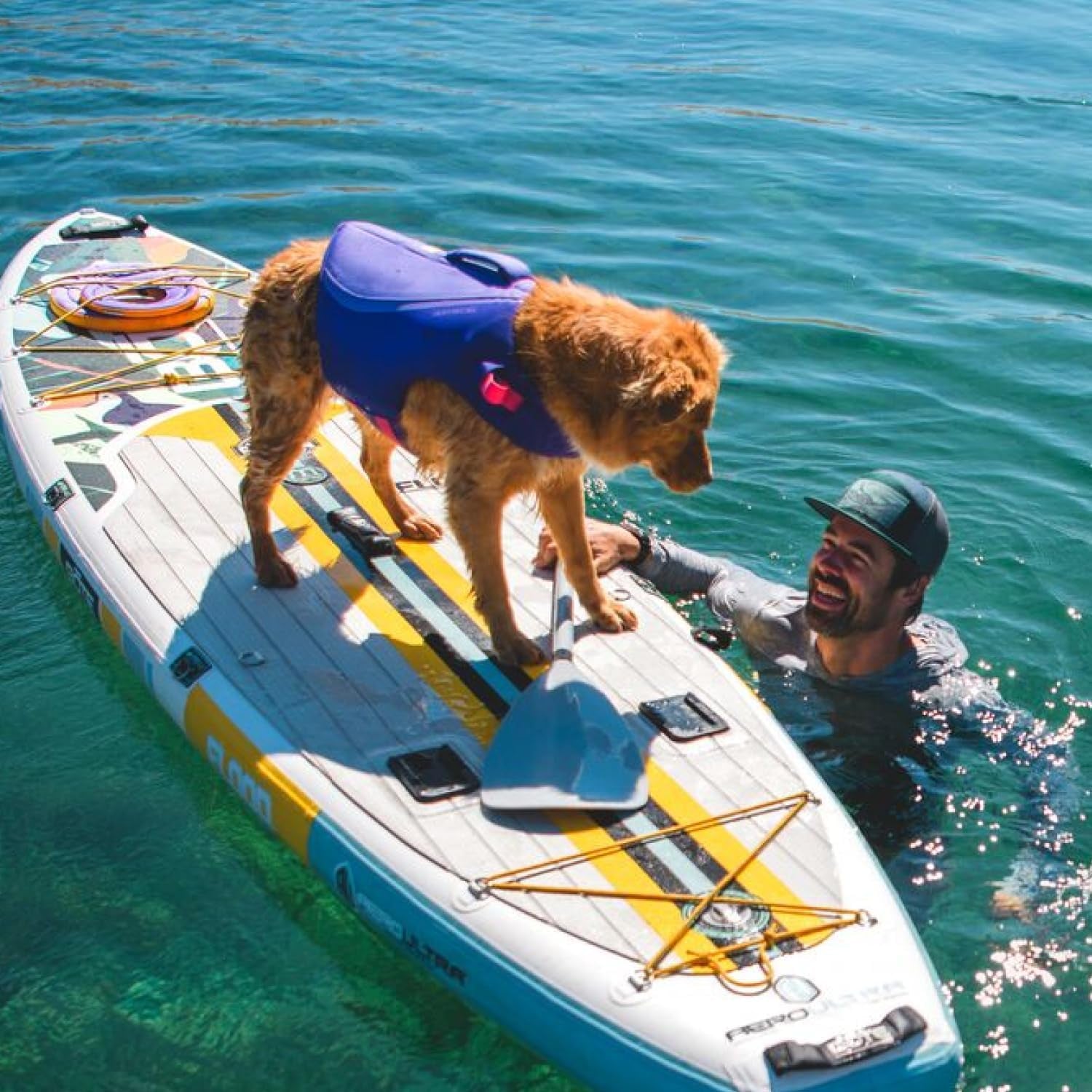 X-small Deep blue Float Coat Dog Life Jacket, Premium Buoyancy Swim Vest with Lift Handle, Secure Fit & Reflective Trim, Adjustable Flotation for Swimming, Boating, & Outdoor Adventures
