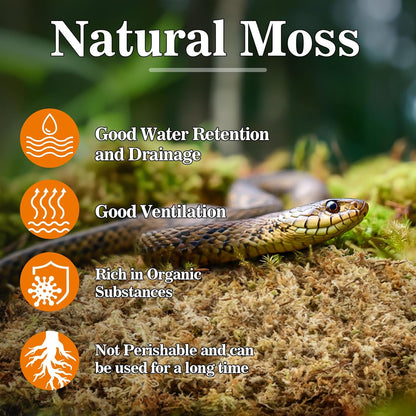 Sphagnum Moss for Reptiles - 3.5 OZ Reptile Peat Moss for Terrarium Bedding Reptiles Substrate for Reptile Tank, Snake, Leopard Gecko, Ball Python, Crested Gecko, Turtle, Frog, Hamster