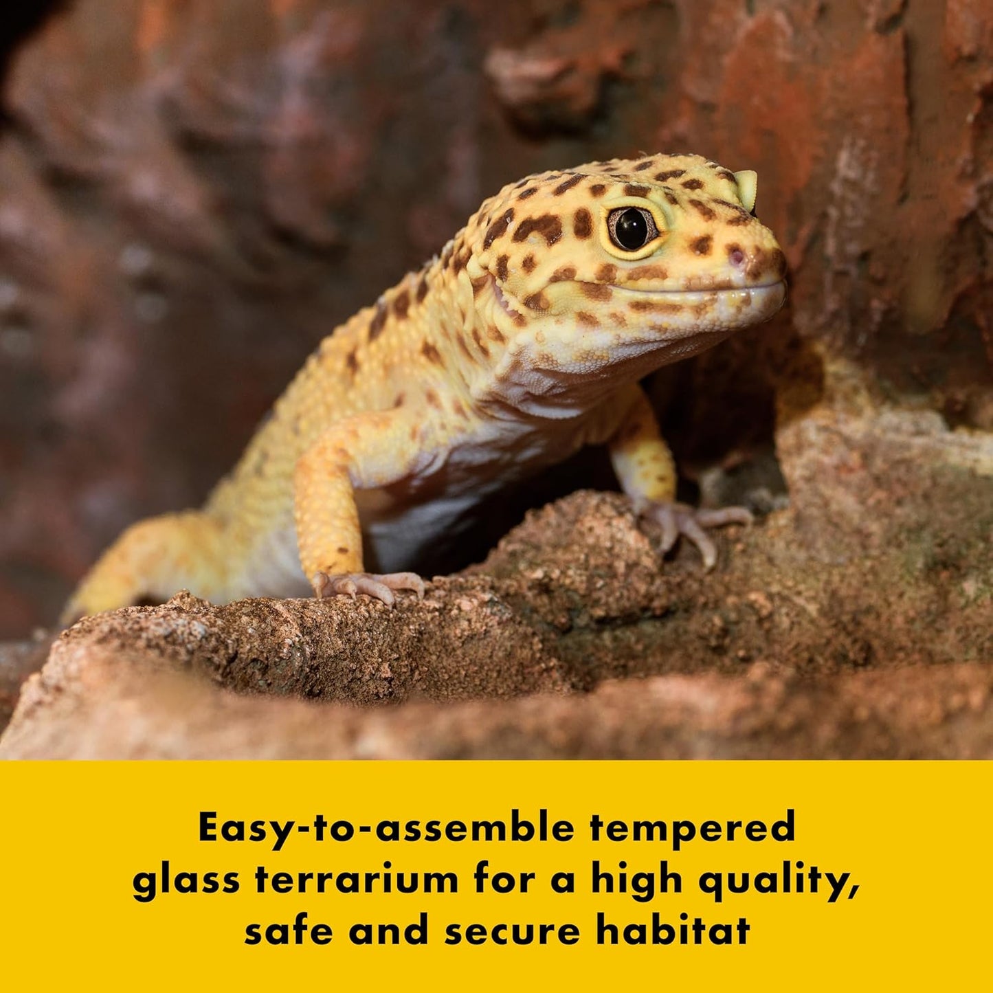 Quickbuild Reptile 10 Gallon Glass Terrarium Habitat with Bedding Tray for Geckos, Snakes, Lizards, Frogs, Turtles, and Tortoises, 20" X 12" X 10"