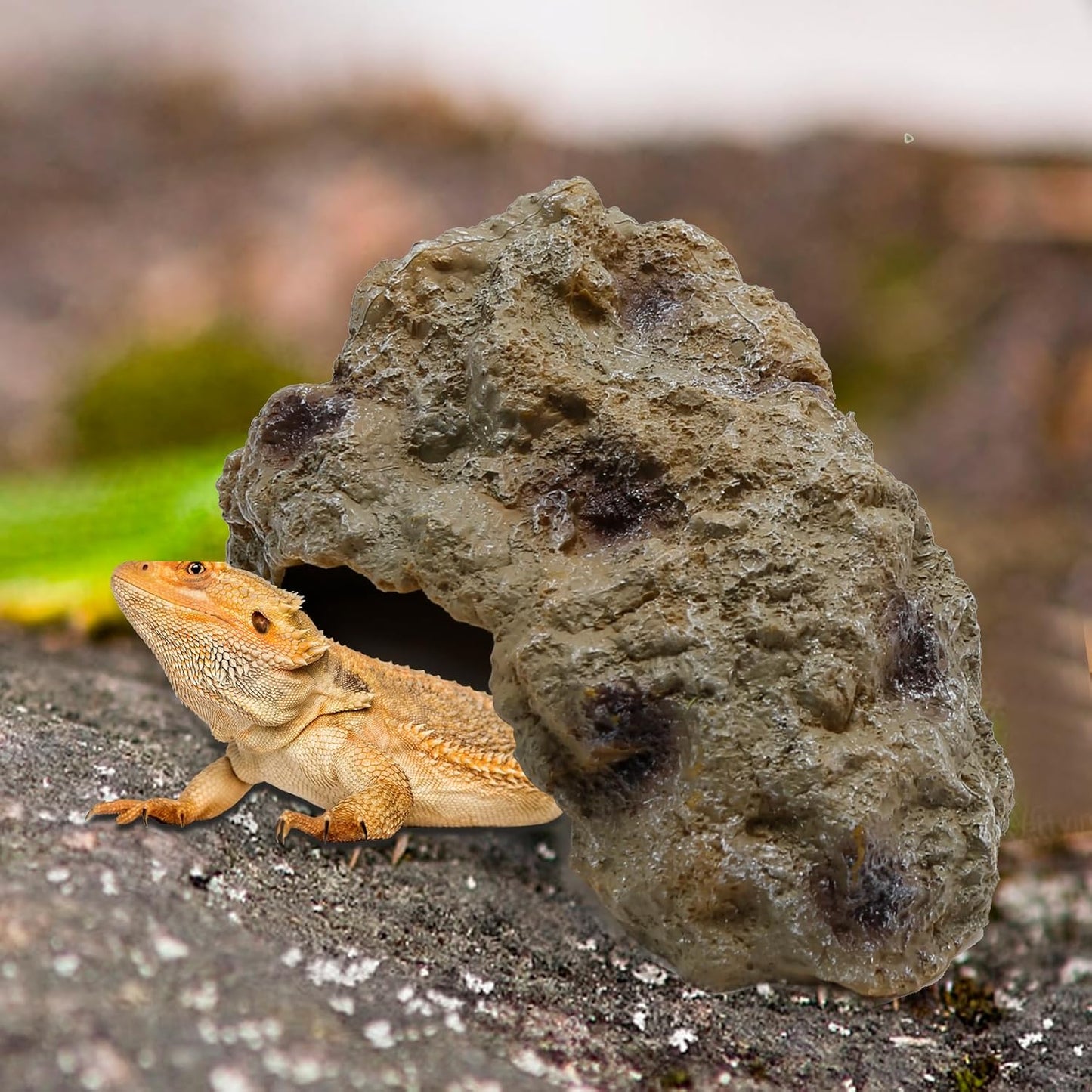 Reptile Rock Reptile Cave Hideout for Snakes/Geckos/Lizards/Turtles and Other Amphibians, with Dinosaur Skull (Small)