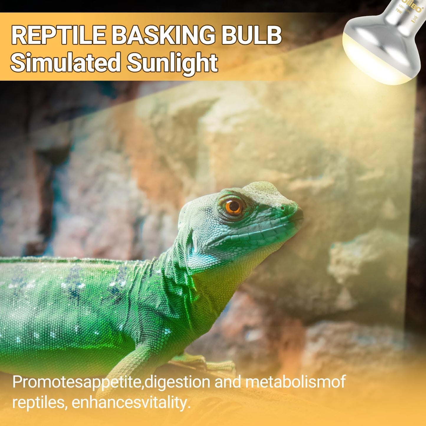 Reptile Heat Lamp Blub, 2Pack 75W Day & Night Reptile Heat Lamp,Uva Daylight Heat Basking Bulbs Infrared Heats Light Bulb for Reptiles Bearded Dragon Lizard Turtle