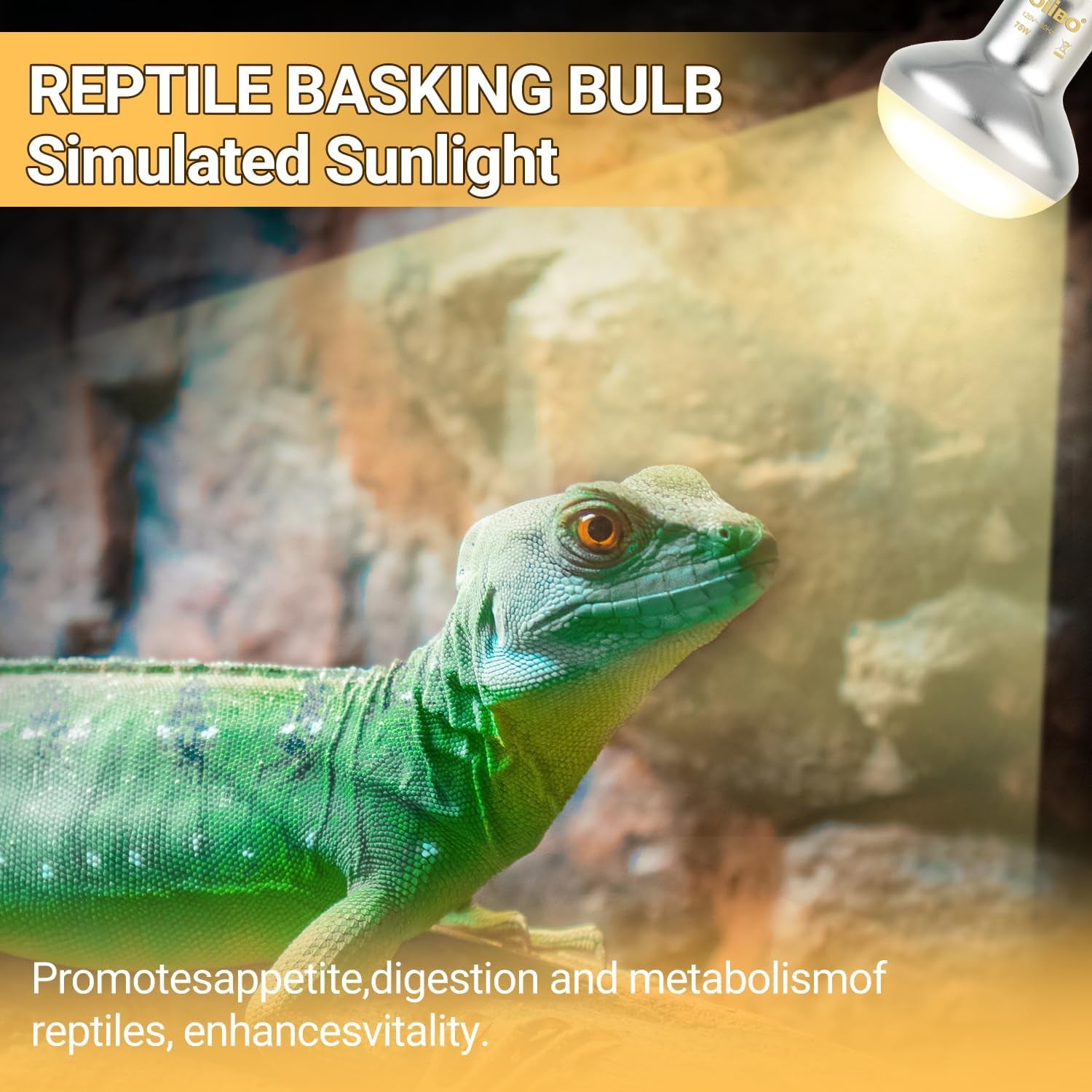 Reptile Heat Lamp Blub, 2Pack 75W Day & Night Reptile Heat Lamp,Uva Daylight Heat Basking Bulbs Infrared Heats Light Bulb for Reptiles Bearded Dragon Lizard Turtle