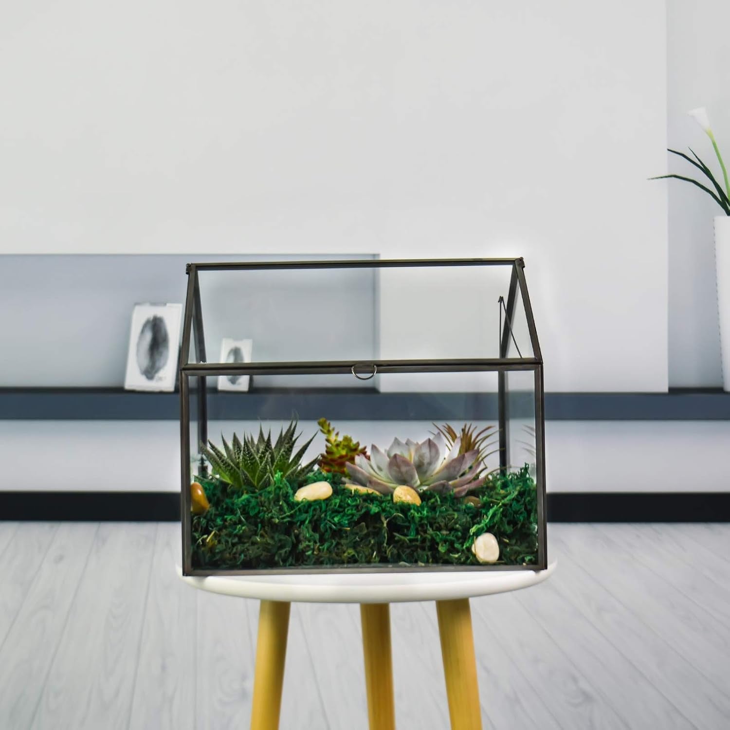 Large Glass Plant Terrarium – House Succulent Glass Terrarium Kit with Lip Glass Greenhouse Terrarium for Plant 12.26X9.15X10.9Inch (Black 2)