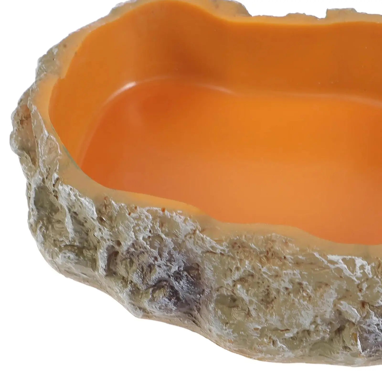Reptile Water Bowls Decorative Terrarium Habitat Decoration Resin Feeding Bowl for Frog Tortoise Turtle Leopard Gecko