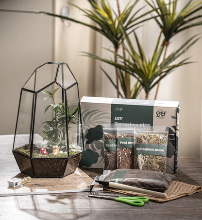 Large Terrarium Kit DIY / Live Moss / Tropical Plant, Bioactive Terrarium, Holiday, Birthday Gift, Fantastic Christmas Gift, Stem Kit Kids