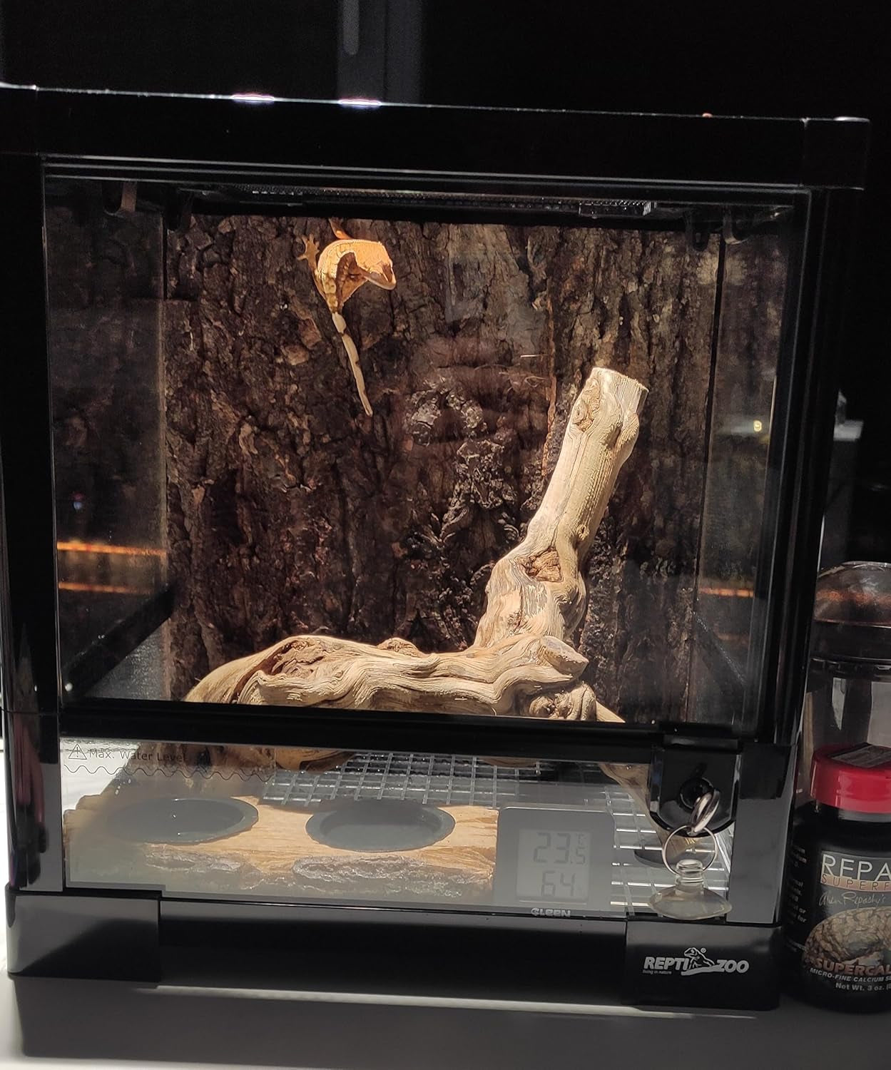 Large Reptile Branch, 15-17Inch Length, Carefully Selected and Polished for Reptile Climbing Branch,Each One Is Unique