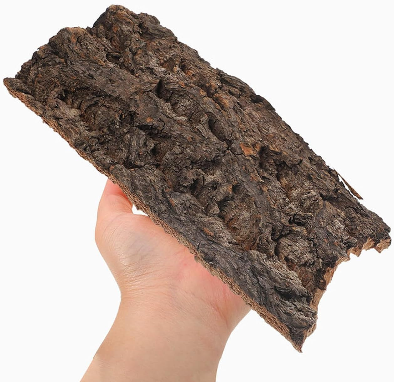 4Pcs Reptile Tree Bark Reptile Hides: Natural Wood Cork Bark Gecko Hide Small Climbing Barks Terrarium Decor Lizard Geckos Tortoise Birdcage Tank Accessories Water Tube Landscaping