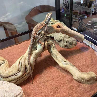 Large Reptile Branch, 15-17Inch Length, Carefully Selected and Polished for Reptile Climbing Branch,Each One Is Unique