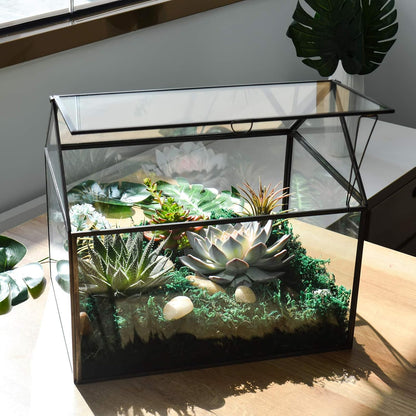 Large Glass Plant Terrarium – House Succulent Glass Terrarium Kit with Lip Glass Greenhouse Terrarium for Plant 12.26X9.15X10.9Inch (Black 2)