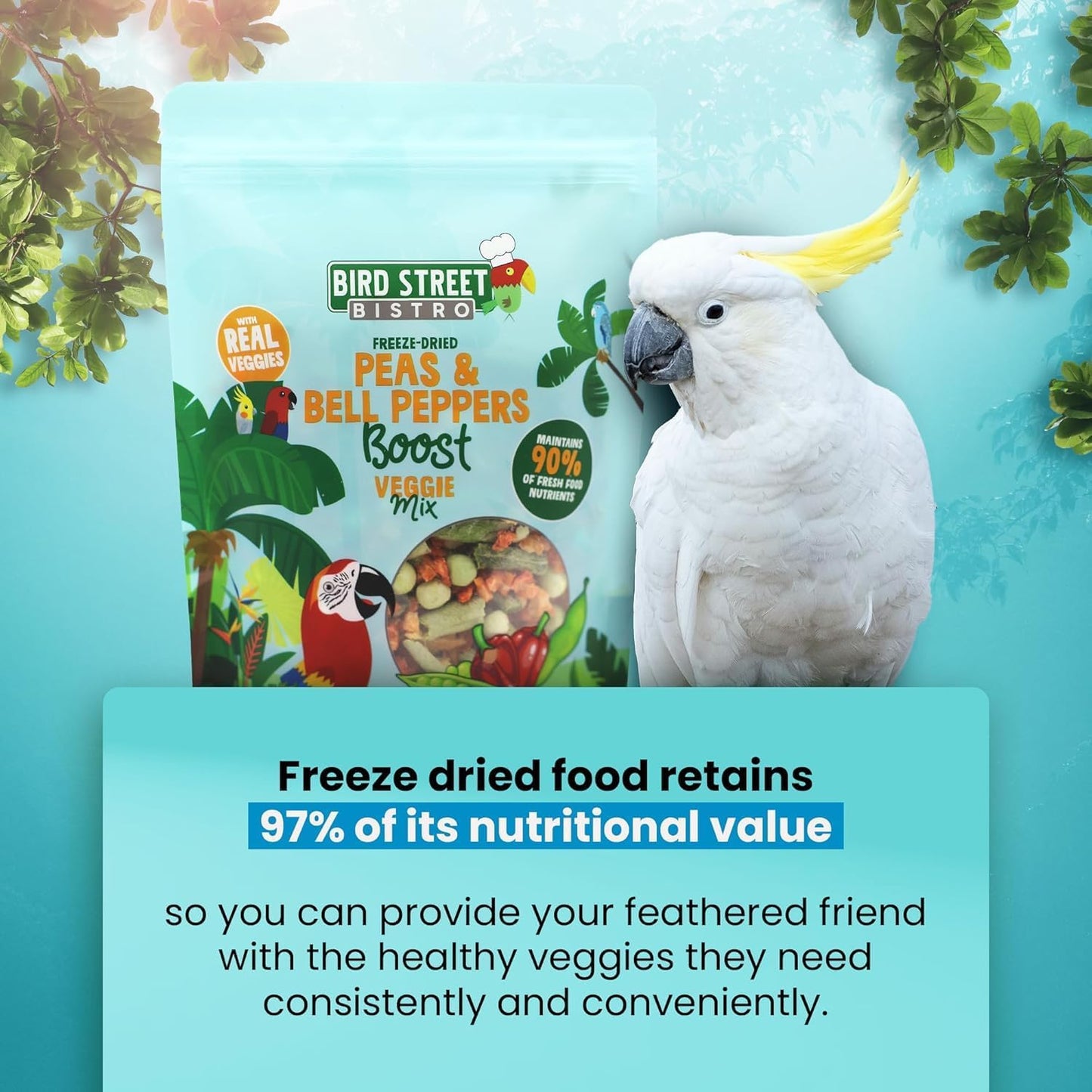 Bird Treats - Parrot & Cockatiel Food - Parakeet & Conure Treats - Topper