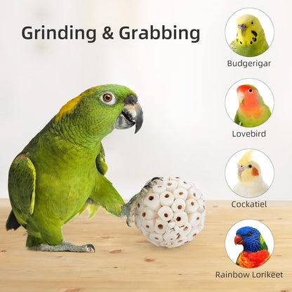 Bird Toy Sola Ball - Natural Soft Chew Shredding & Foraging Toy for Cockatiel Conure Quaker Parrot Budgie Parakeet Rabbit Bunny Guinea Pig Chinchilla (Style 1 (Pack of 6))