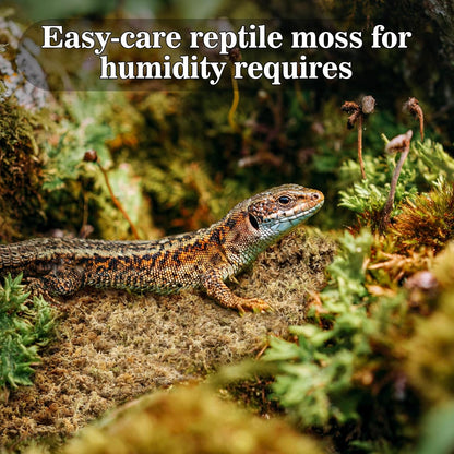 Sphagnum Moss for Reptiles - 3.5 OZ Reptile Peat Moss for Terrarium Bedding Reptiles Substrate for Reptile Tank, Snake, Leopard Gecko, Ball Python, Crested Gecko, Turtle, Frog, Hamster