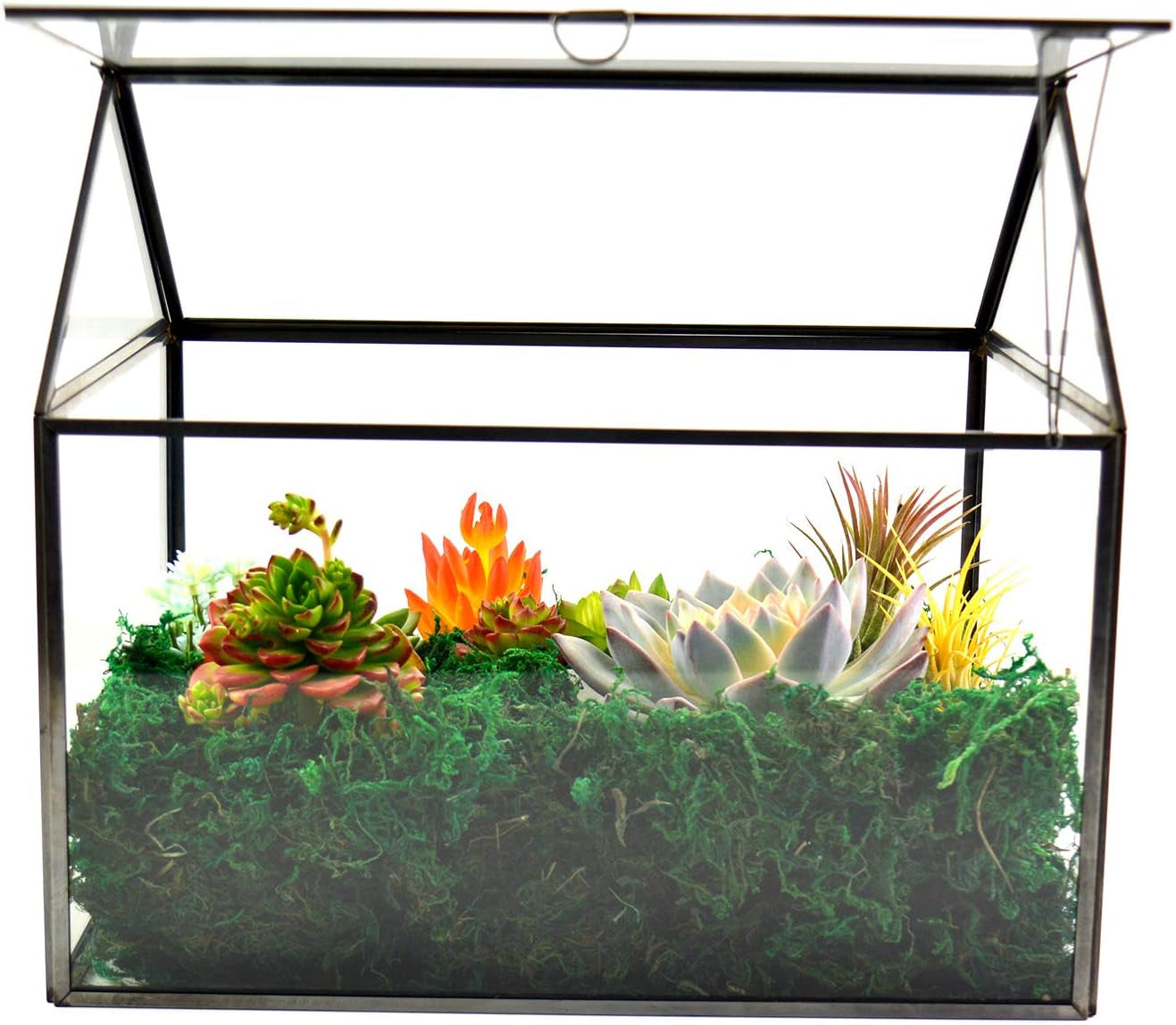 Large Glass Plant Terrarium – House Succulent Glass Terrarium Kit with Lip Glass Greenhouse Terrarium for Plant 12.26X9.15X10.9Inch (Black 2)