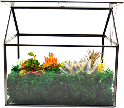 Large Glass Plant Terrarium – House Succulent Glass Terrarium Kit with Lip Glass Greenhouse Terrarium for Plant 12.26X9.15X10.9Inch (Black 2)