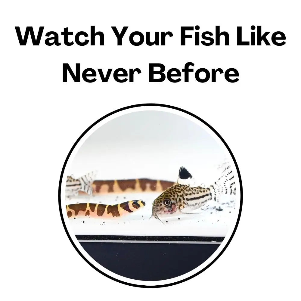 Multifunctional Aquarium Underground Tunnel Cave under Gravel Tunnel Curve Aquarium Decoration Tunnel Caves Fish Tank Decoration