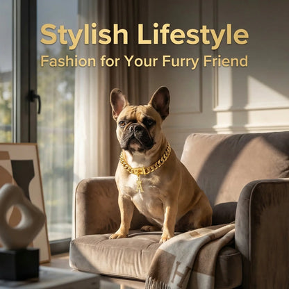 POPILY "Golden Crown" Pet Collar — Meticulously Crafted from 18K Gold-Plated Titanium Steel, Featuring a Clasp Exquisitely Set with Dazzling Cubic Zirconia. This Luxurious Collar Is Custom-Tailored for Large Dogs and Showcases a Stylish Cuban Link Design.