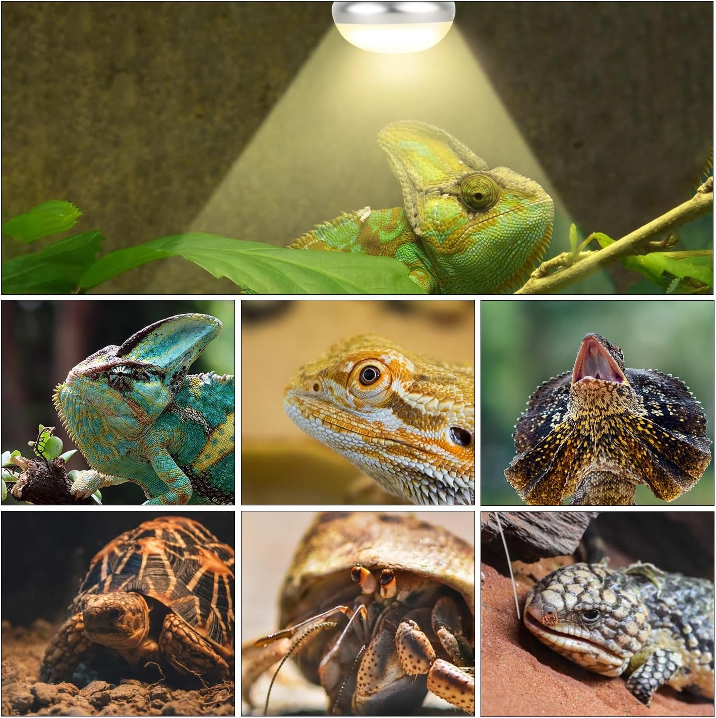 Reptile Heat Lamp Blub, 2Pack 75W Day & Night Reptile Heat Lamp,Uva Daylight Heat Basking Bulbs Infrared Heats Light Bulb for Reptiles Bearded Dragon Lizard Turtle