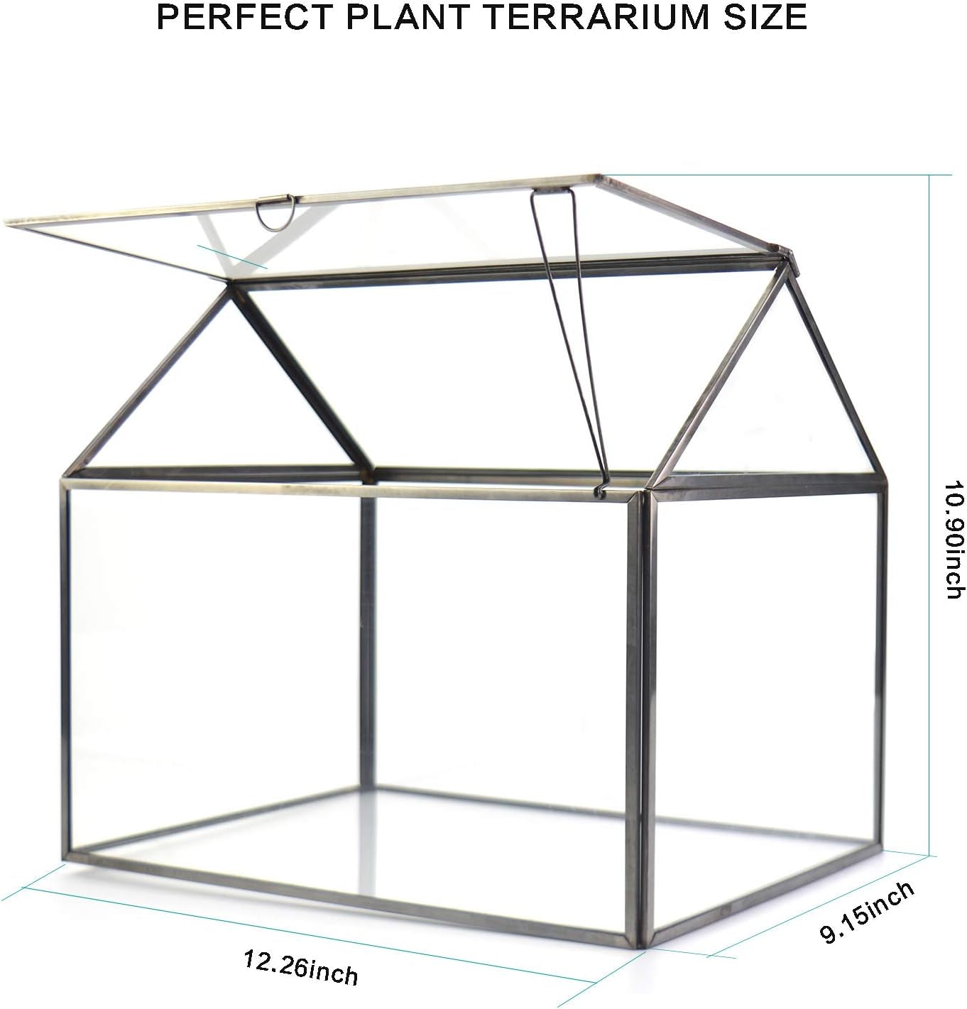 Large Glass Plant Terrarium – House Succulent Glass Terrarium Kit with Lip Glass Greenhouse Terrarium for Plant 12.26X9.15X10.9Inch (Black 2)