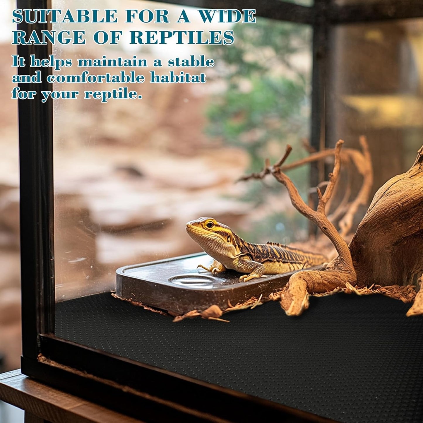 6.5 FT Reptile Substrate Mat - Reptile Carpet Mat Terrarium Bearded Dragon Tank Mat Reptile Tank Liner Bedding Accessories Substrate for Leopard Gecko Snake Tortoise Gecko Lizard (Black)