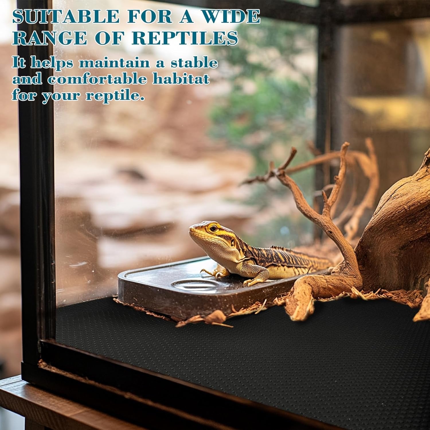 6.5 FT Reptile Substrate Mat - Reptile Carpet Mat Terrarium Bearded Dragon Tank Mat Reptile Tank Liner Bedding Accessories Substrate for Leopard Gecko Snake Tortoise Gecko Lizard (Black)