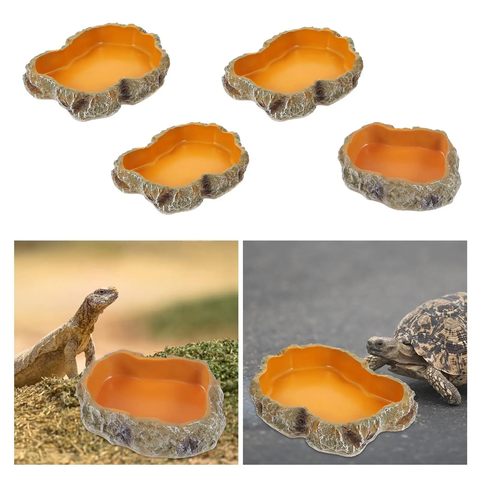 Reptile Water Bowls Decorative Terrarium Habitat Decoration Resin Feeding Bowl for Frog Tortoise Turtle Leopard Gecko
