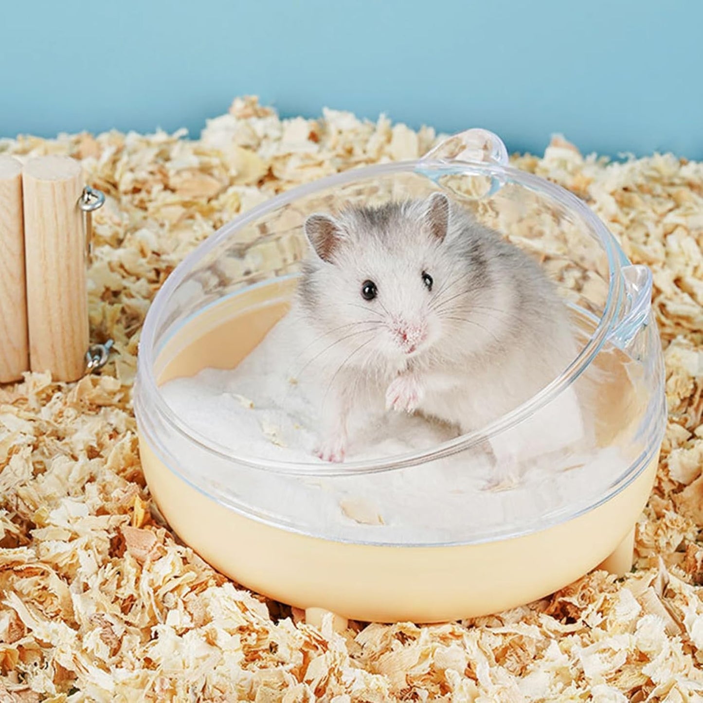 Hamster Sand Bath Container, Large Sandbox Toilet Gerbil Batheoom, Tiny Chinchilla Dust Bathtub Sand Bath Box for Hamster Cage Accessories 6.5 Inch - Blue