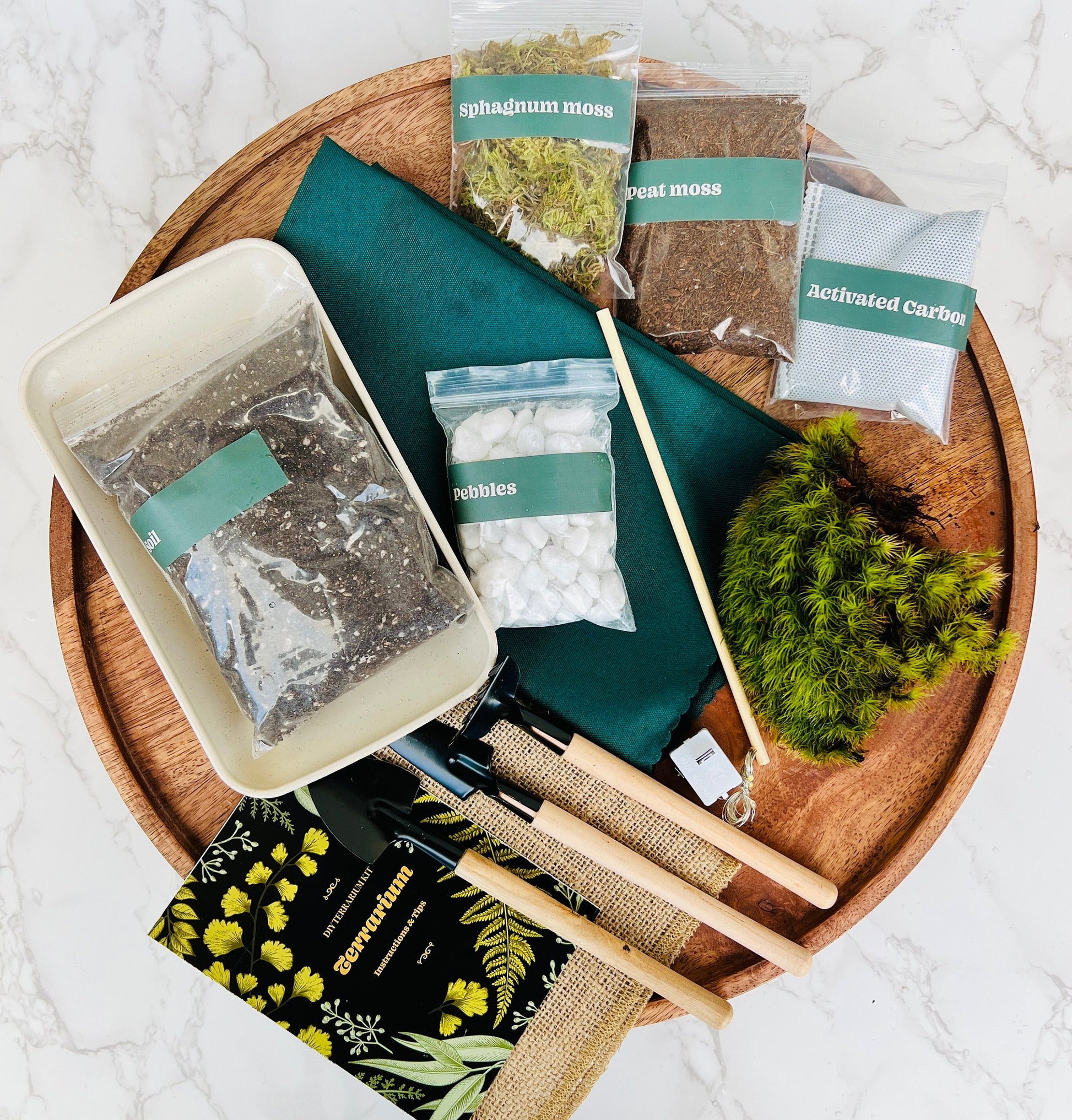 Large Terrarium Kit DIY / Live Moss / Tropical Plant, Bioactive Terrarium, Holiday, Birthday Gift, Fantastic Christmas Gift, Stem Kit Kids