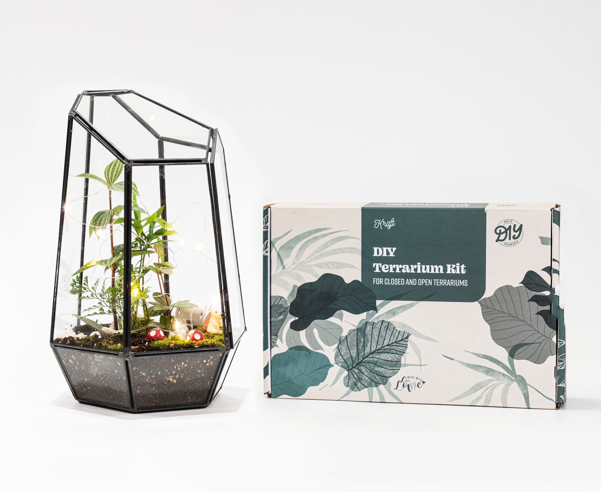 Large Terrarium Kit DIY / Live Moss / Tropical Plant, Bioactive Terrarium, Holiday, Birthday Gift, Fantastic Christmas Gift, Stem Kit Kids