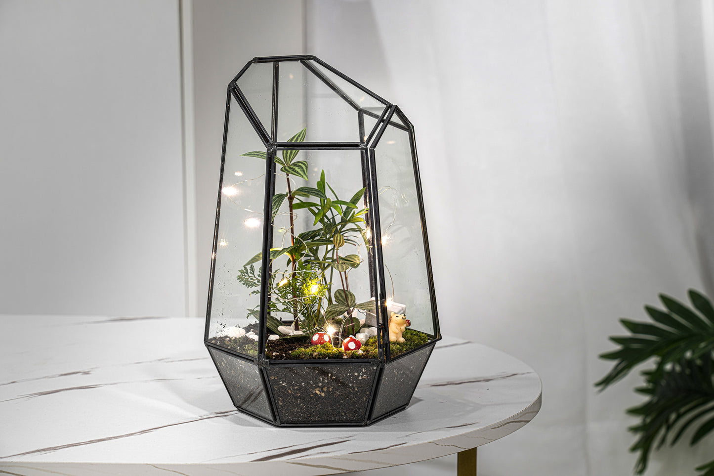 Large Terrarium Kit DIY / Live Moss / Tropical Plant, Bioactive Terrarium, Holiday, Birthday Gift, Fantastic Christmas Gift, Stem Kit Kids