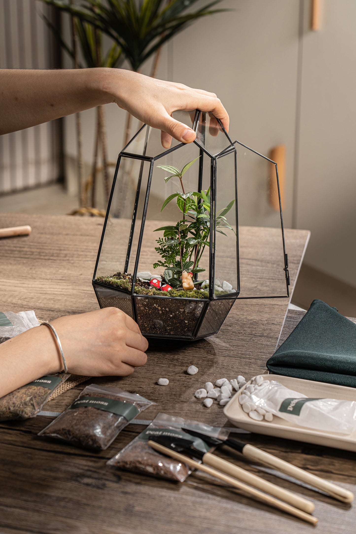 Large Terrarium Kit DIY / Live Moss / Tropical Plant, Bioactive Terrarium, Holiday, Birthday Gift, Fantastic Christmas Gift, Stem Kit Kids